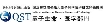 量子科学技術研究開発機構　放射線医学総合研究所